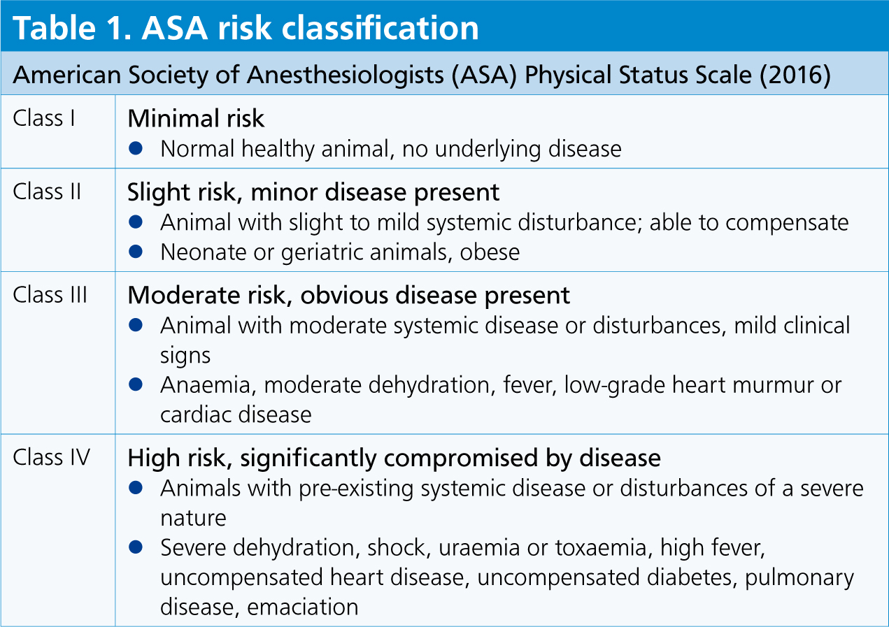 Pre Operative Considerations